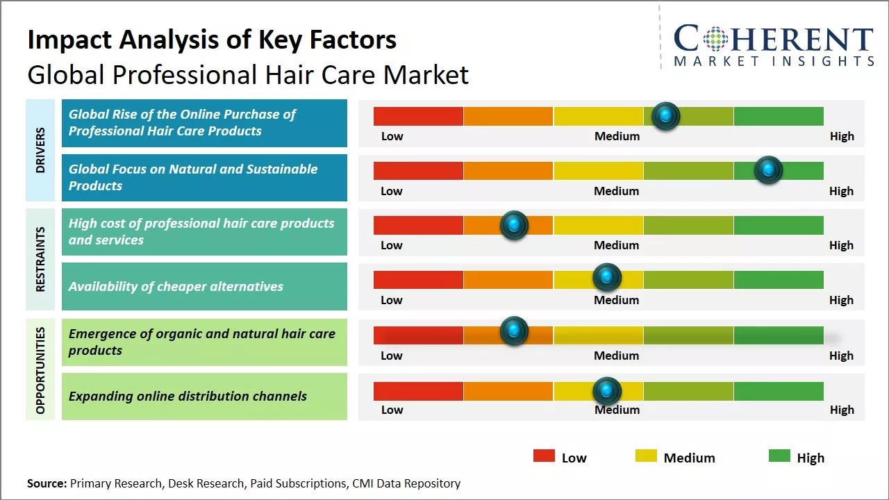 Professional Hair Care Market By Key Factors Professional Hair Care Market By Key Factors