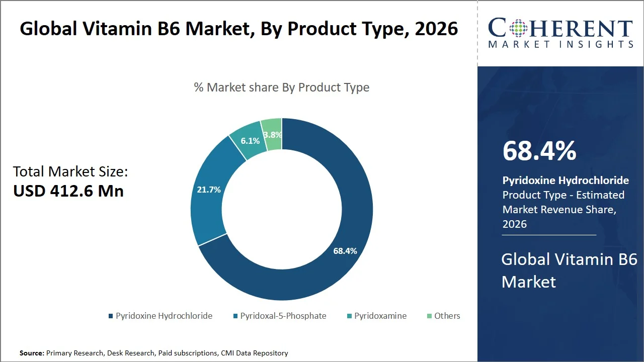 Vitamin B6 Market By Product Type